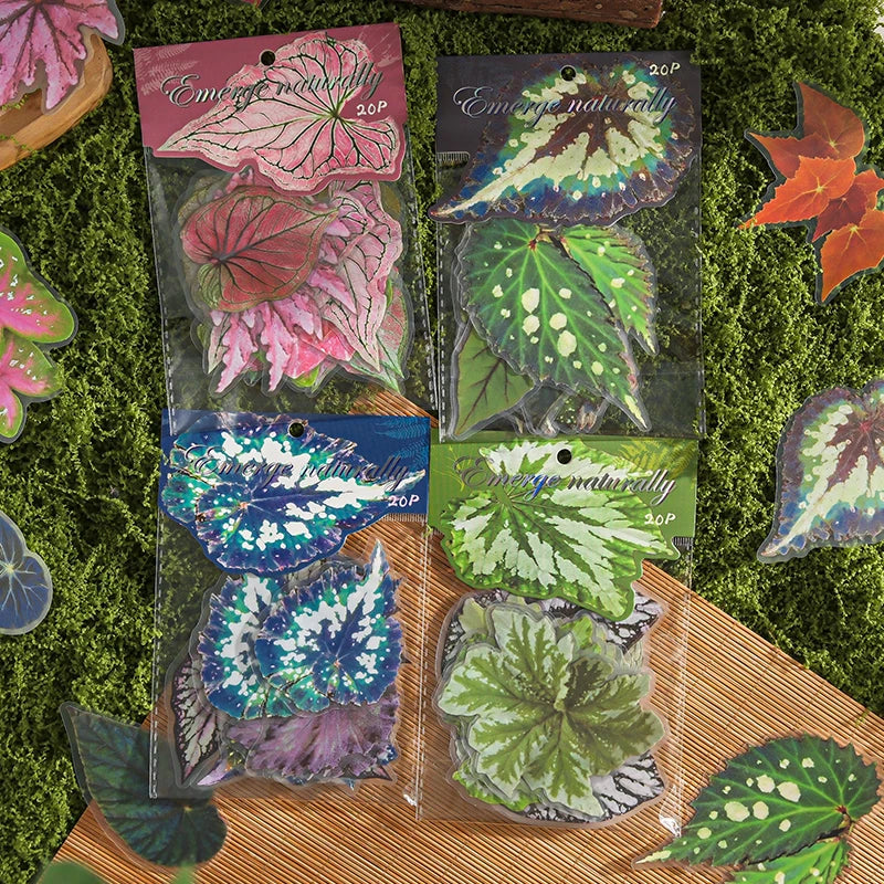 20 pcs Plants Flowers Leaf PET Sticker pack Hand Account Collage Junk Journal Planner Scrapbooking Decor Stationery Stickers Qme