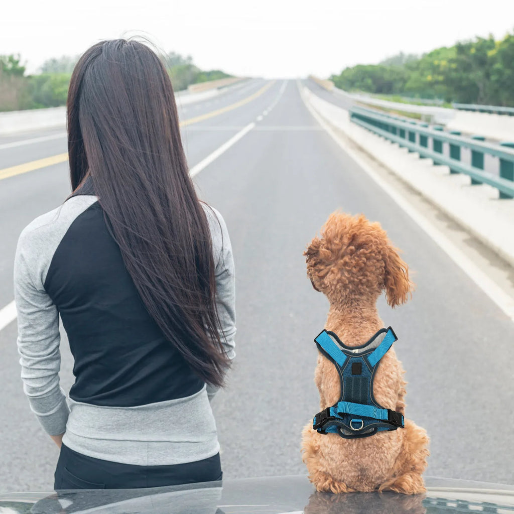 Dog Harness Pet Dog Vest Adjustable Portable Puppy Harness for Small Dogs Thickened Buckle Wear-Resistant Oxford Material Snug Qme