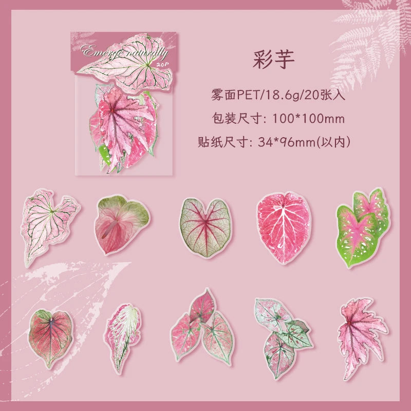 20 pcs Plants Flowers Leaf PET Sticker pack Hand Account Collage Junk Journal Planner Scrapbooking Decor Stationery Stickers Qme A