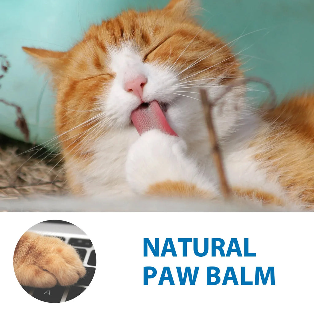Cat Claw Moisturizing Stick Anti Cracking Protect Cat Paw Pads Prevent Dry Itchy Claw Pet Noses Paws Butter Soother Cat Paw Balm Qme