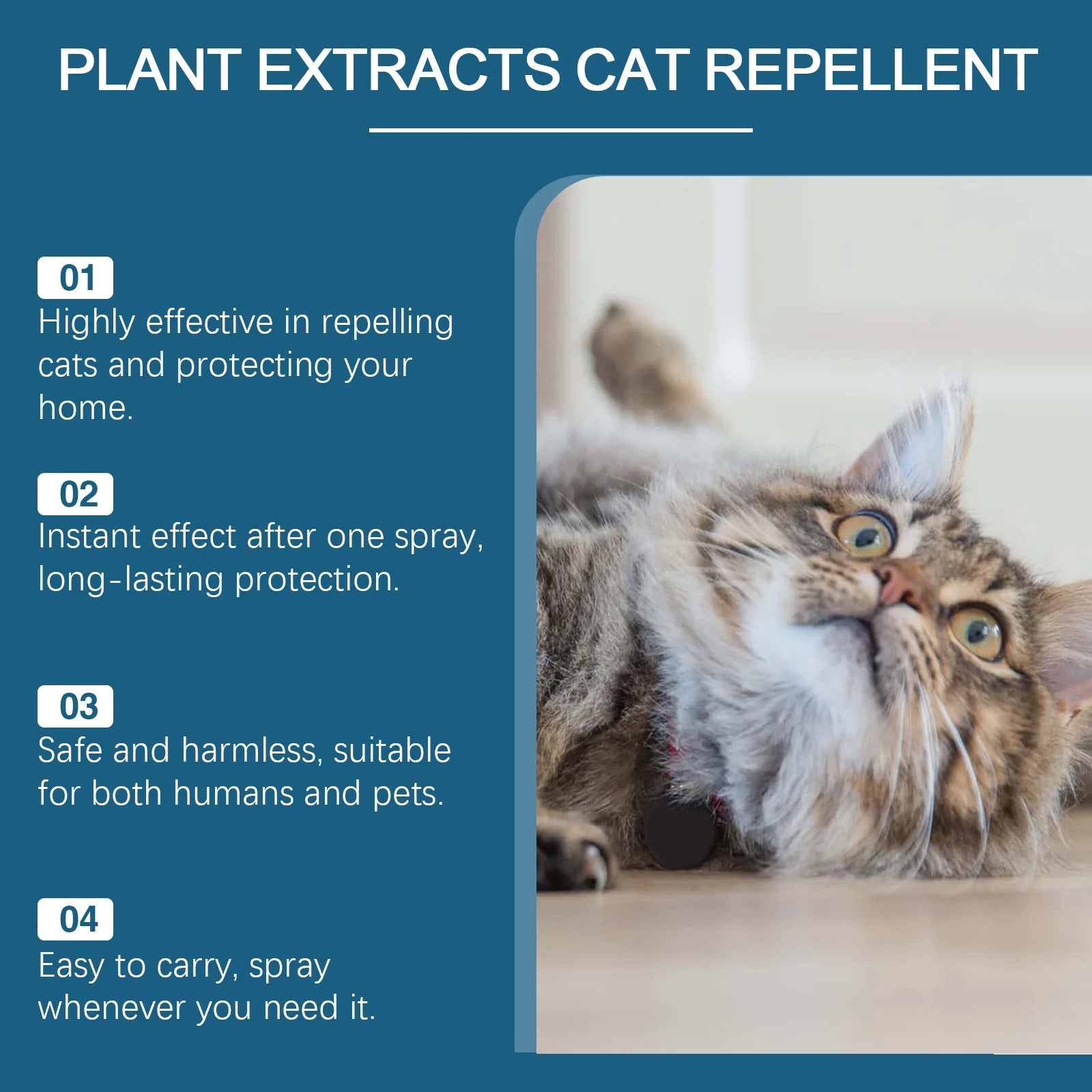 Cat Repellent Spray Anti Scratch Prevent Biting Scratching Stop Sofa Chew Gnaw Corrector Furniture Protect Pet Training Liquid Qme