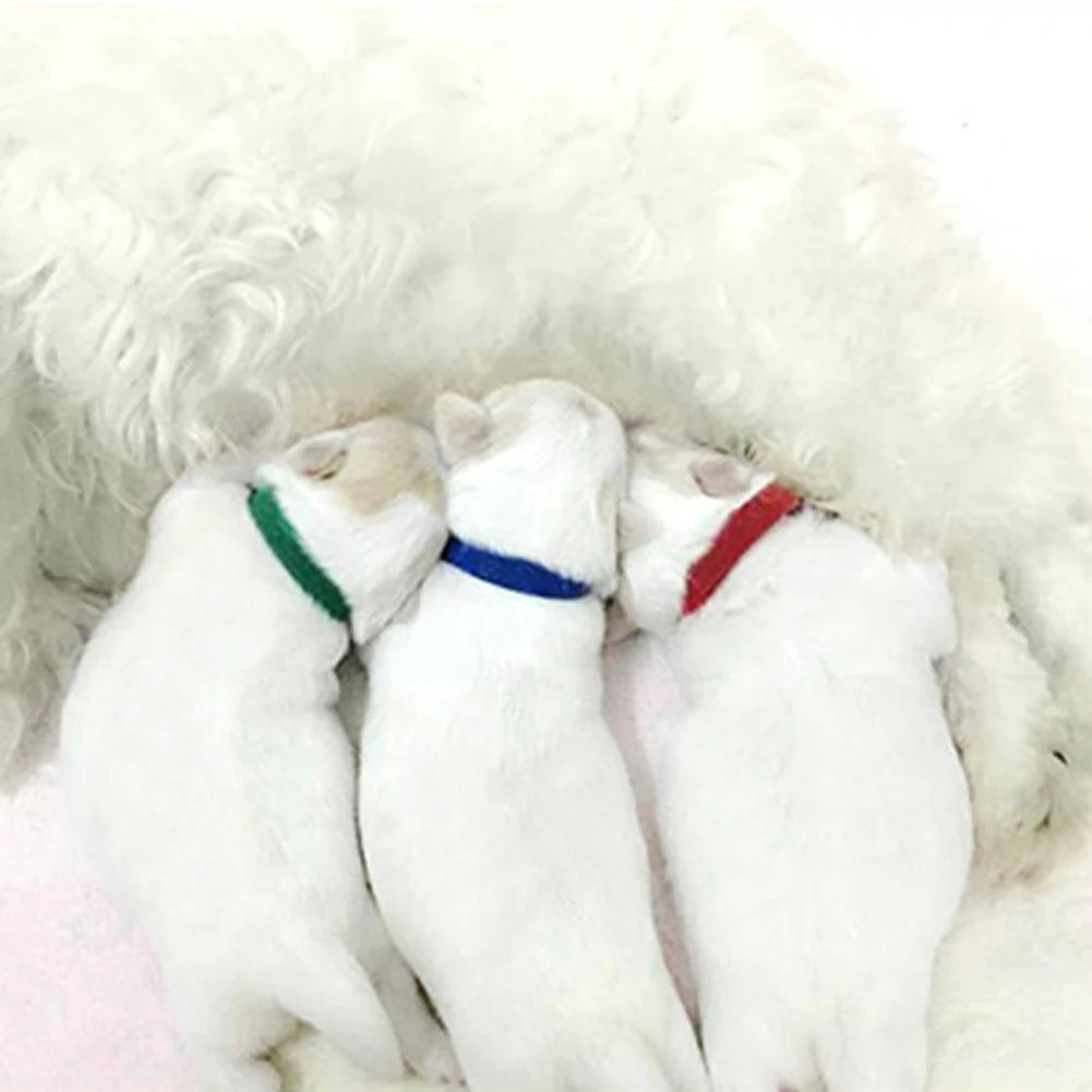 12Pcs Puppy Collars Newborn Puppy Collars Adjustable Kittens Band Hook and Loop Fastener Pet Identification Collars Pet Supplies Qme