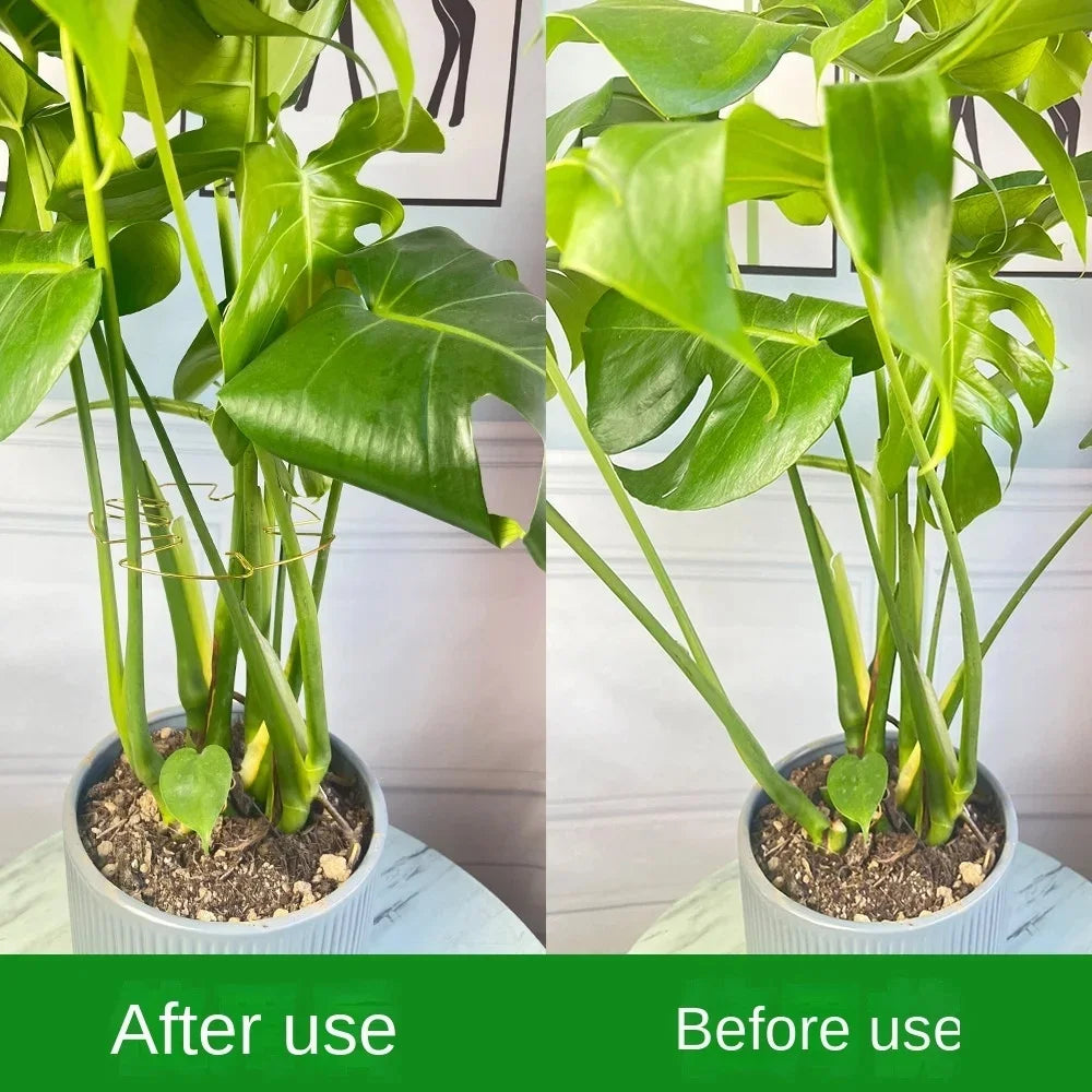 Indoor Outdoor Stem Upright Support Ring Monstera Leaf Anti-fall Plant Shaping Wire Holder For Plant Potted Growth Styling Tool Qme