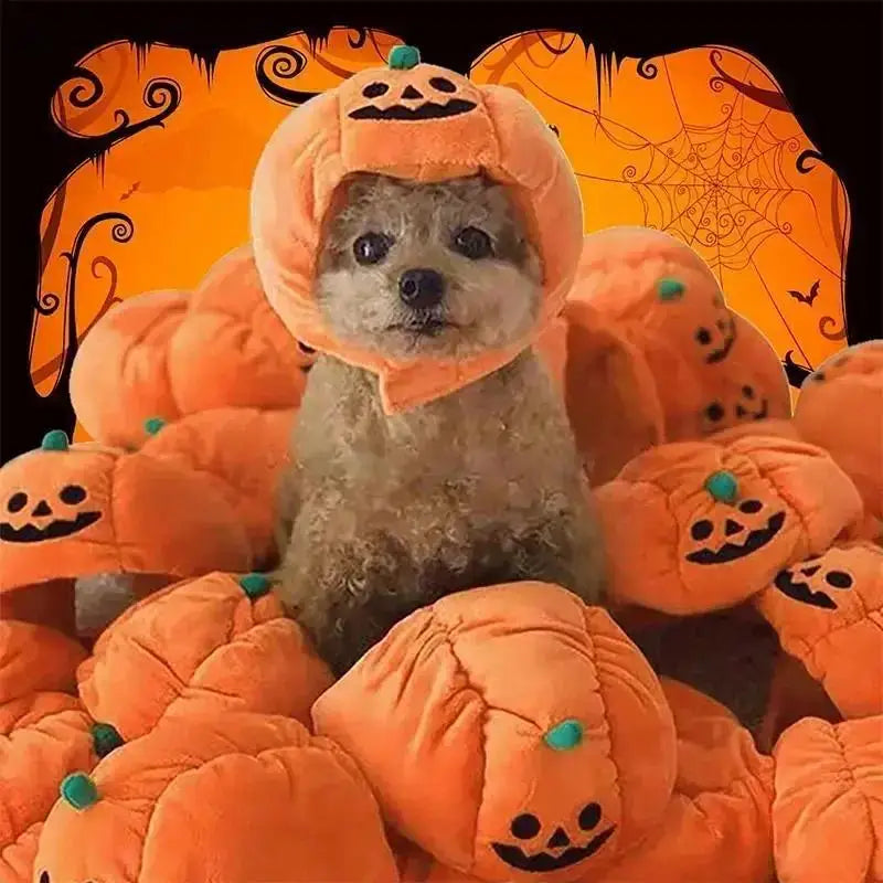 Halloween Pet Pumpkin Hat Cute Ghost Festival Headgear For Small Medium Large Dogs Puppy Teddy French Bulldog Costume Accessory Qme