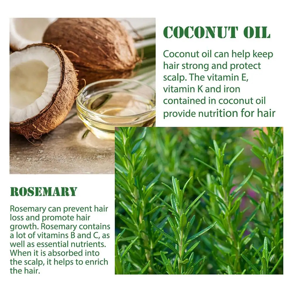 Rosemary Oil Hair Growth Essential Coconut Improve Loss Nourishes Qme