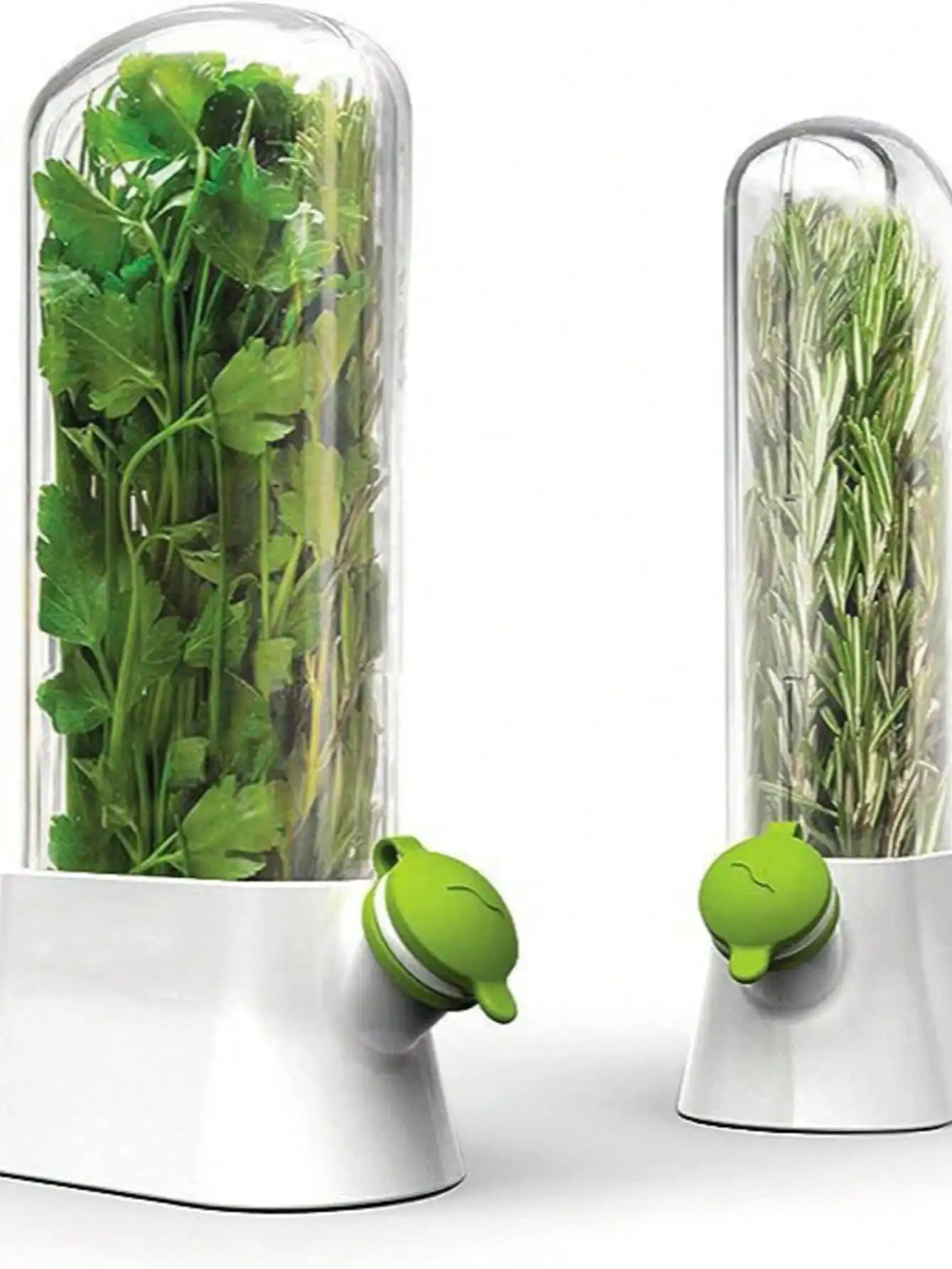 Herbal Storage Containers Refrigerator Vanilla Coriander Boxes Qme
