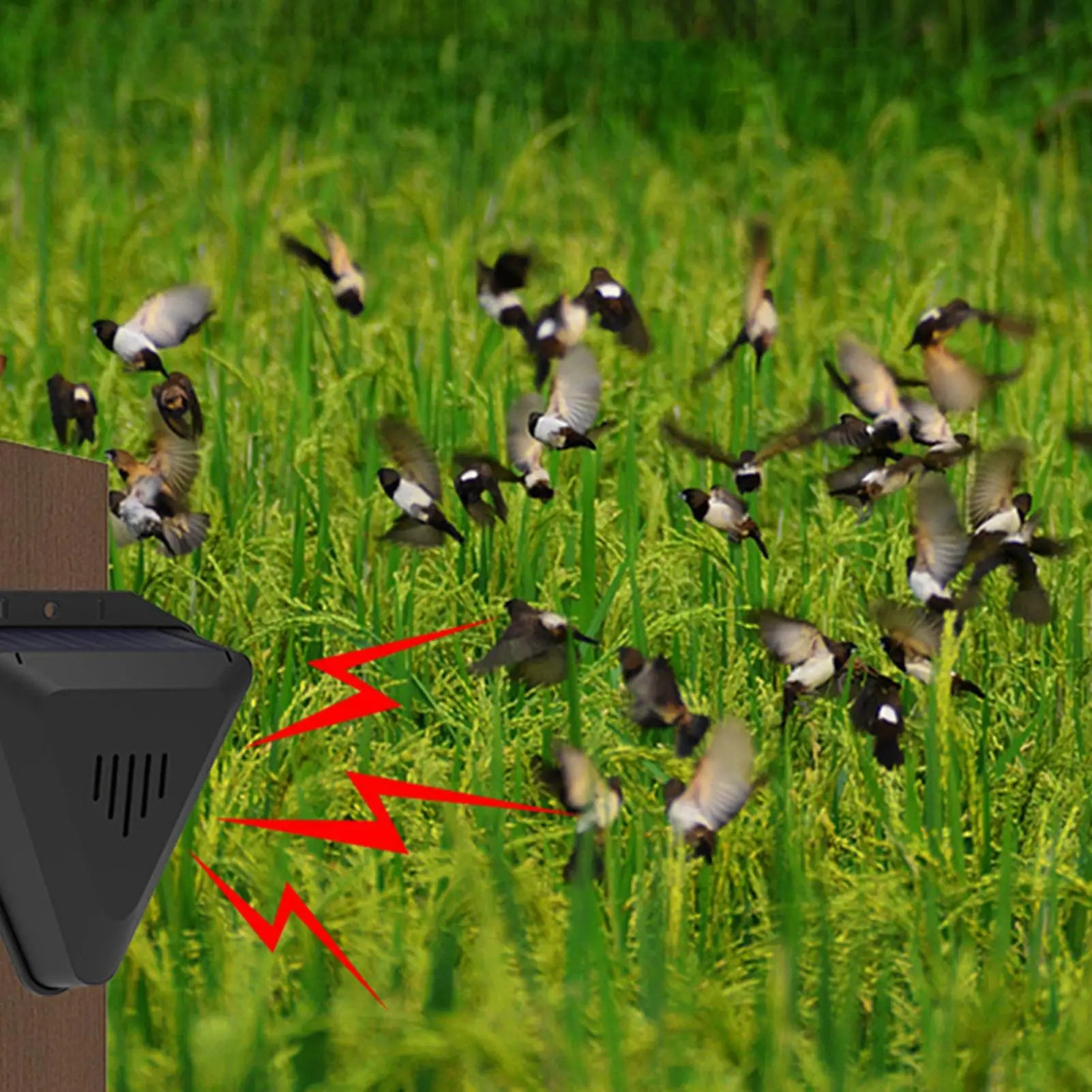 Animal Repeller Hang Animal Repeller Outdoor Waterproof Bird Repellents Outdoor Animal Deterrents with 13 Modes Sound Playback Qme