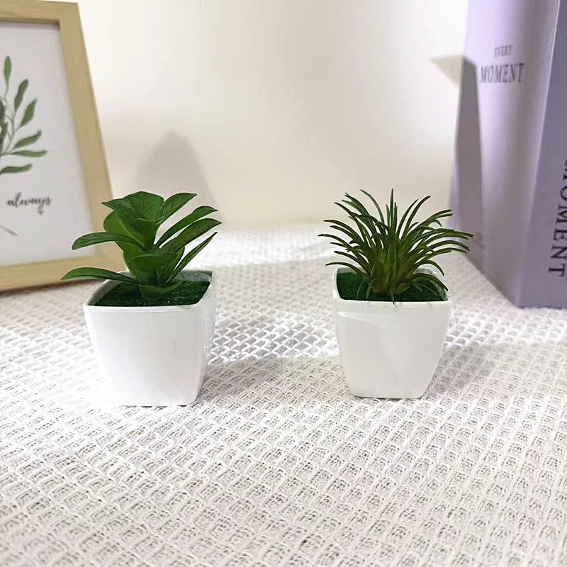 Faux Cactus Arrangements Small Imitation Foliage White Square Planter Qme