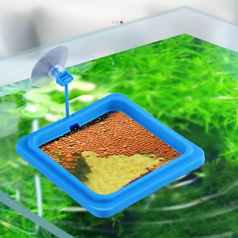 1 Feeding Ring Prevent Food Dispersion Fish Pinch Suction Cup Tank Qme