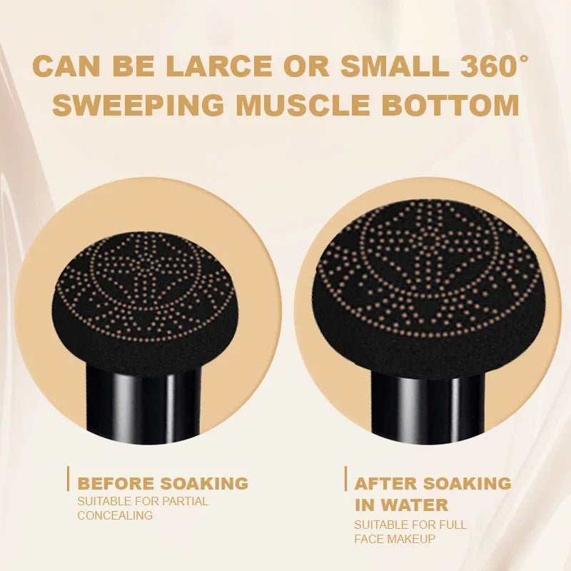 Ocheal BB Cream Air Cushion Compact Make Up Foundation Concealer Face Qme