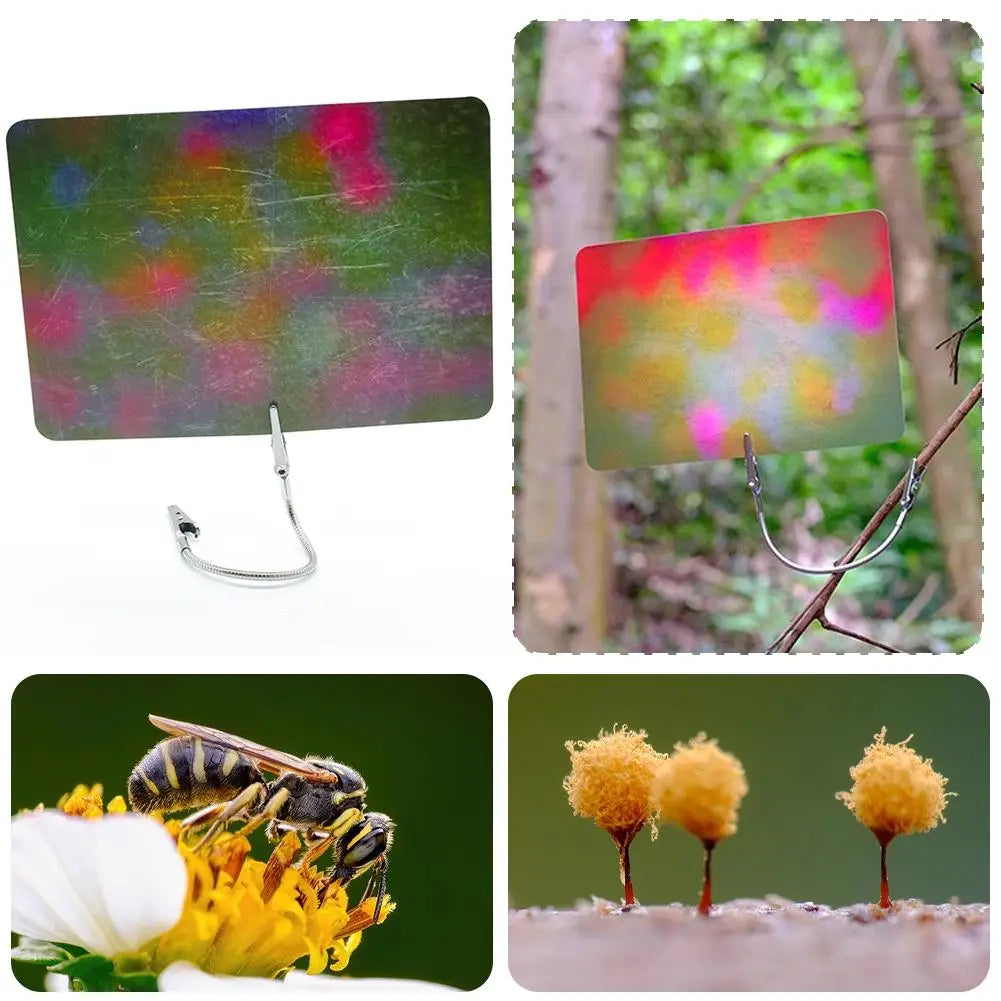 Macro Photography Background Card With Multiple Colors, Light Absorbing Materials Ecological Photography Blurred Background Qme