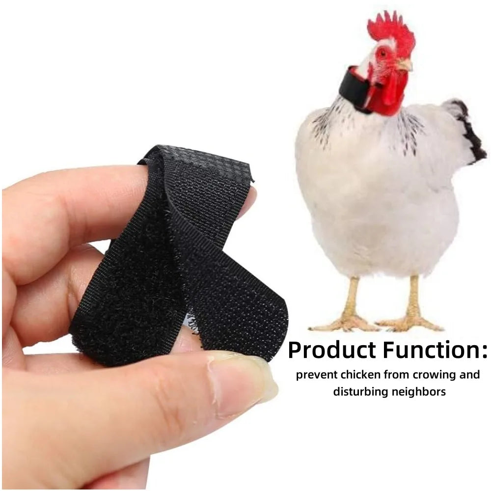 Anti Rooster Crowing Collar with Adjustable Noise Free Nylon Strap To Prevent Chickens From Screaming or Disturbing Neighbors Qme