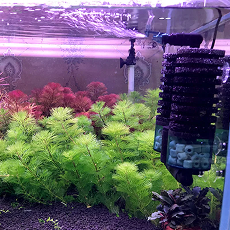 Fish Tank Hollow Quartz Ball Free Breathing Cubes Bio Ceramic Ring Aquarium Biochemical Sponge Filter Water Filtro Foam Carbon Qme