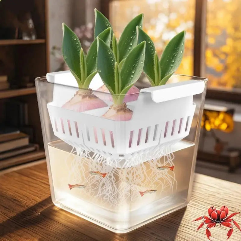 Hydroponic Containers With Breathable Support Basket Tulip Seed Hydroponic Flowerpot 4 Holes Soilless Flower Pot Home Decoration Qme