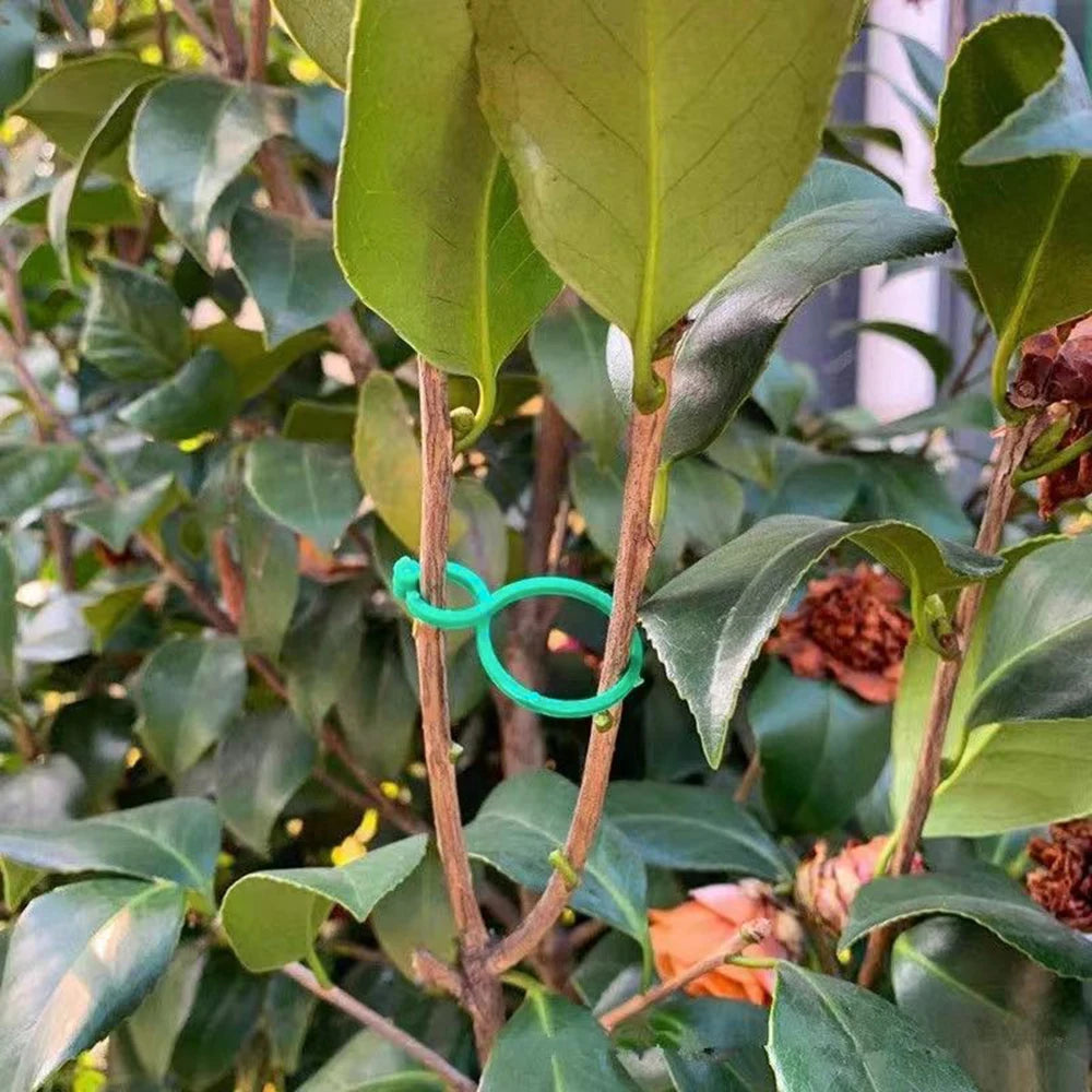 50PCS Horticulture 8 Figure-Eight Buckle Plastic Plant Binding Fixed Cable Tie Multi-Functional Fixed Clamp Hoist Ring Qme