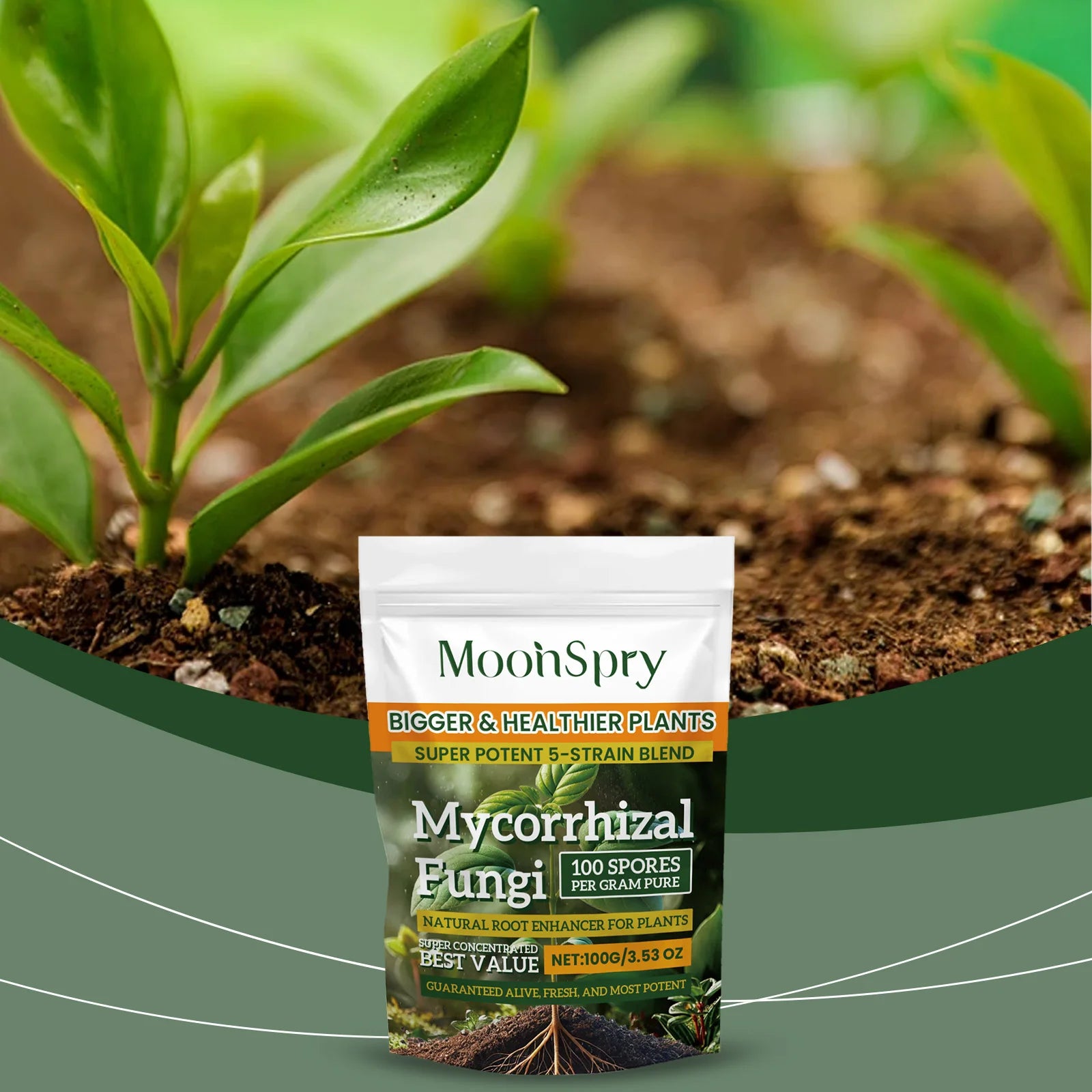 Natural Plants Root Enhancer Promote Root Development Enhance Absorption Capacity Improve Disease Resistance Plant Rooting Agent Qme Default Title