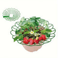 2 Fixed Splicing Support Frames Horticultural Potted Plants Fruit Qme green
