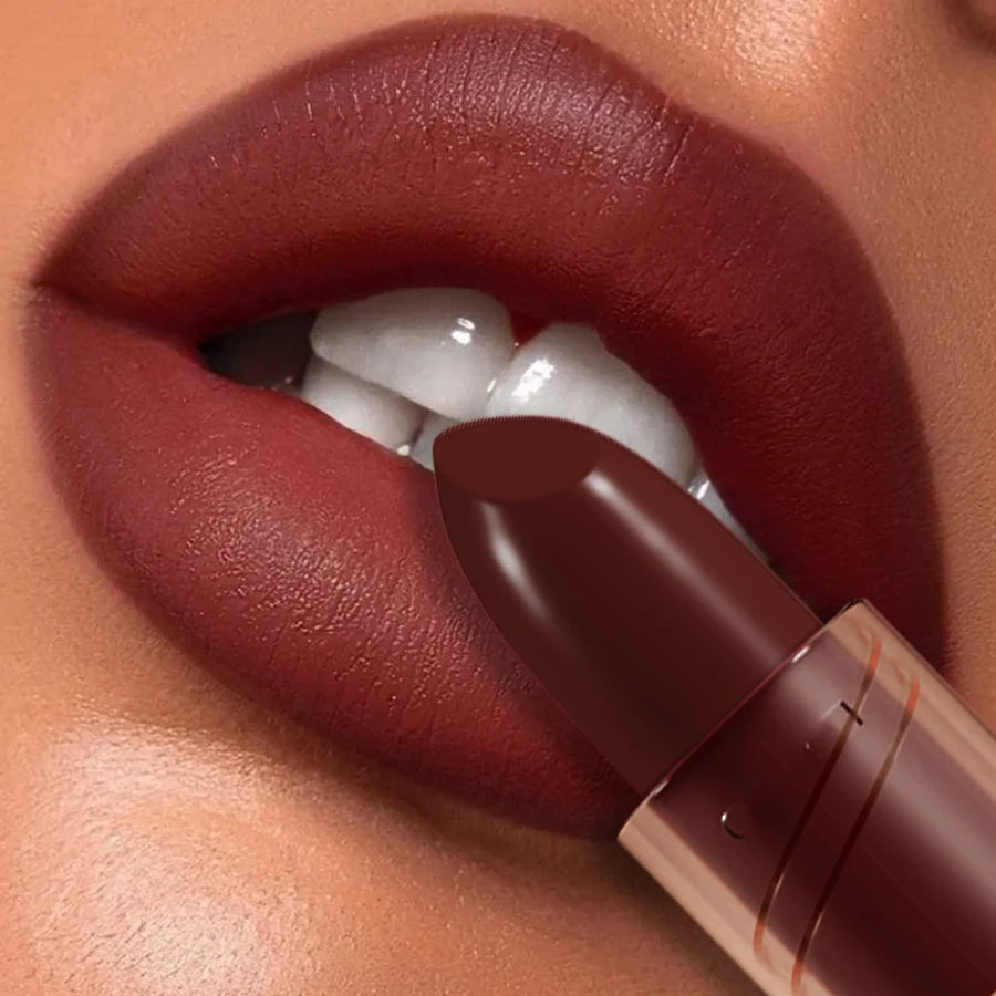 Professional Lipstick Waterproof Lips Makeup Long Lasting Pigment Qme