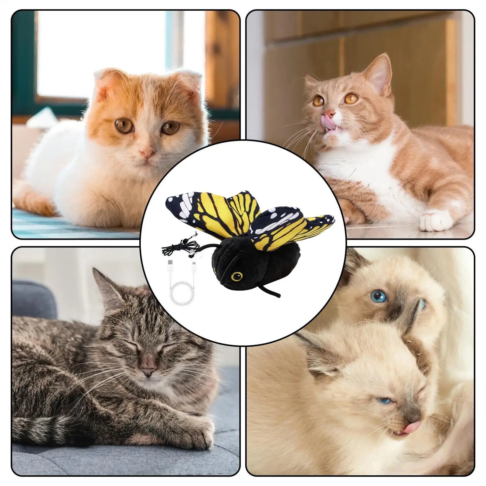 Indoor Cat Auto Toy Mental Physical Exercise Easy Mount Pet Teaser Cat Toy Butterfly for Small Medium Large Breeds Living Room Qme