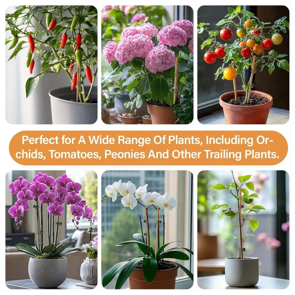 Dark Green 6-Claw Plant Clips 10-50Pcs Bundle Branch Climbing Stem Clasp Tied Orchid Flowers Support Clamps Plant Accessories Qme