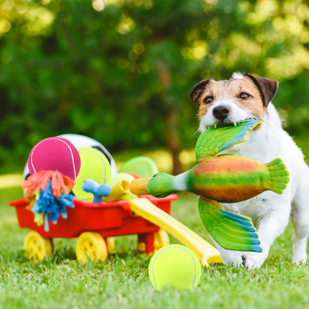 1 Pack Portable Air Pump Inflator for Dog Inflatable Tennis Balls Pet Toy Ball Hand Pump（without ball） Qme