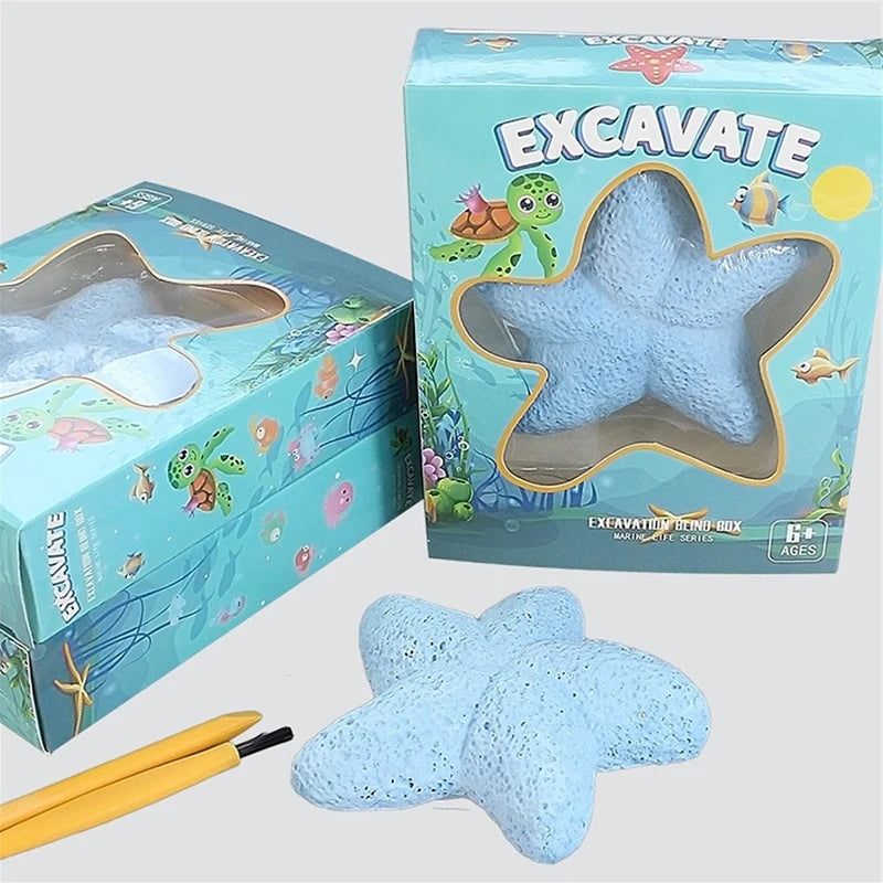 Starfish Marine Life Gemstone Dig Archaeological Excavation Toy Qme