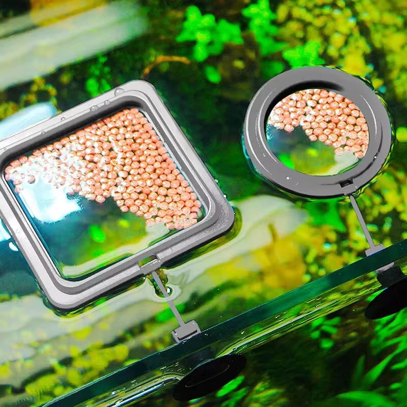 Aquarium Feeding Ring Fish Tank Station Floating Food Tray Feeder Square Circle Accessory Fish Food Feeder Suction Cup Black Qme