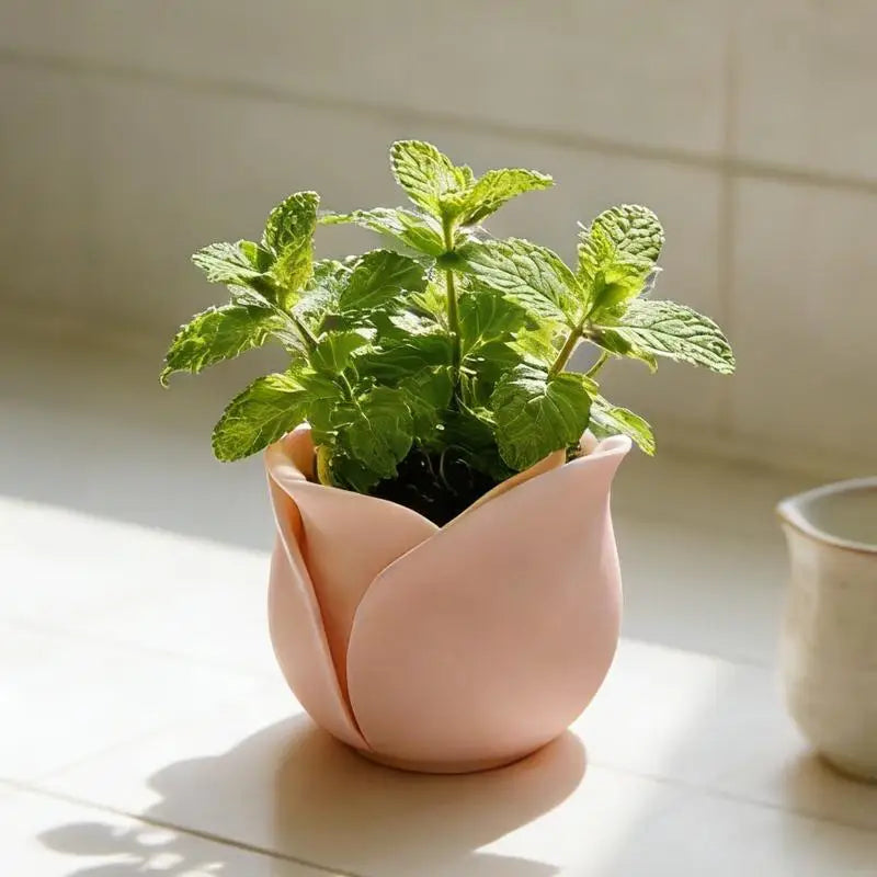 Daily Gardening Home Decoration Flowerpots Rose Shape Succulent Basin Qme