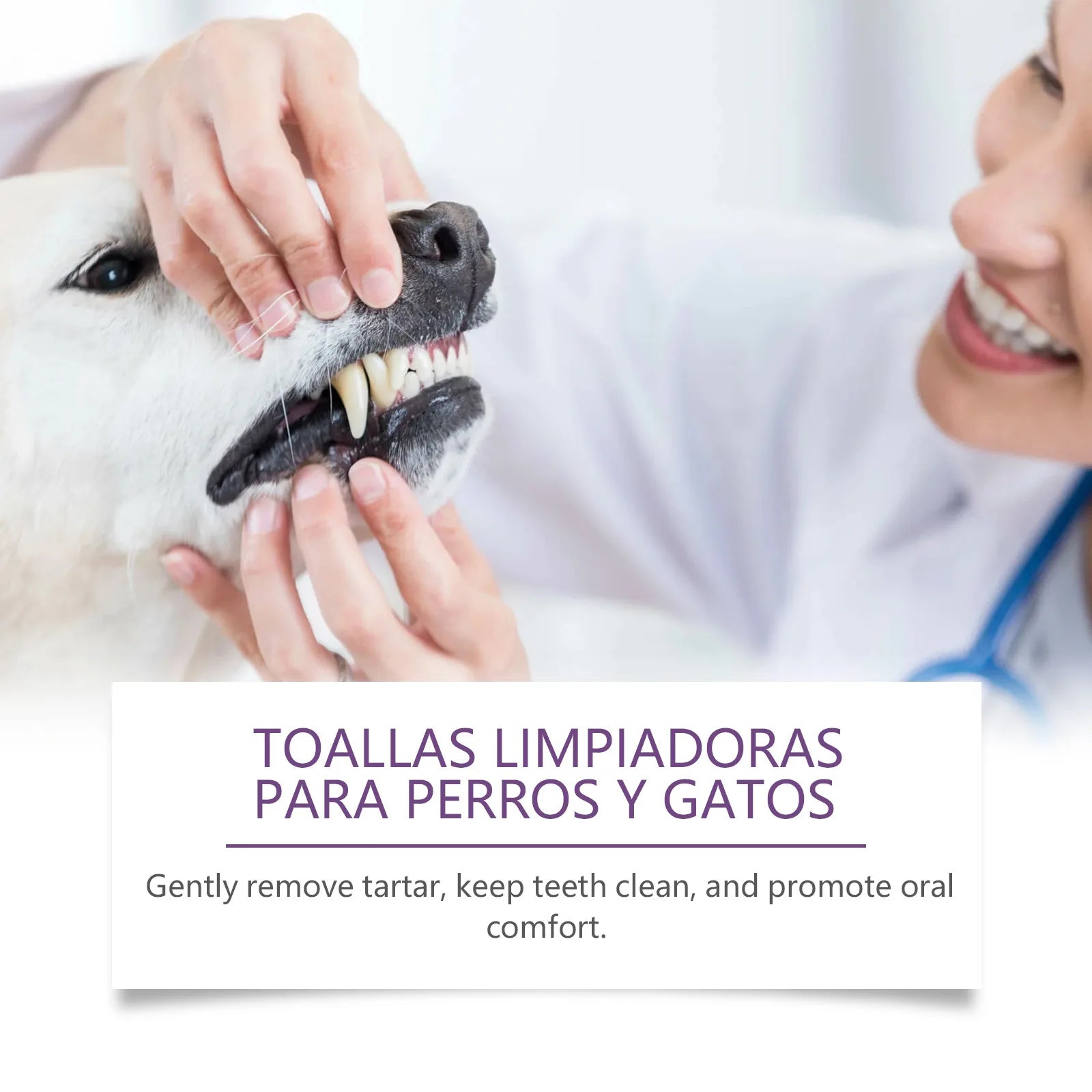 Pet Teeth Finger Cots Disposable Remove Tartar Super Soft Puppy Cochlear Cleaning Cats Dogs Toothbrush Oral Care Finger Cover Qme