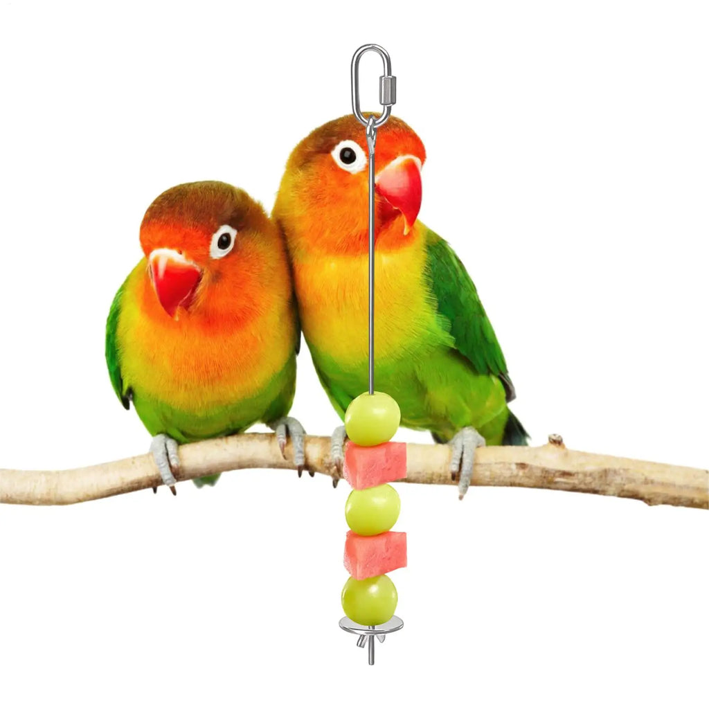 Bird Cage Food Skewer Stainless Fruit Stick Holder Bird Food Holder for Cage Foraging Macaw Parakeet Cockatiel Conure Finch Qme