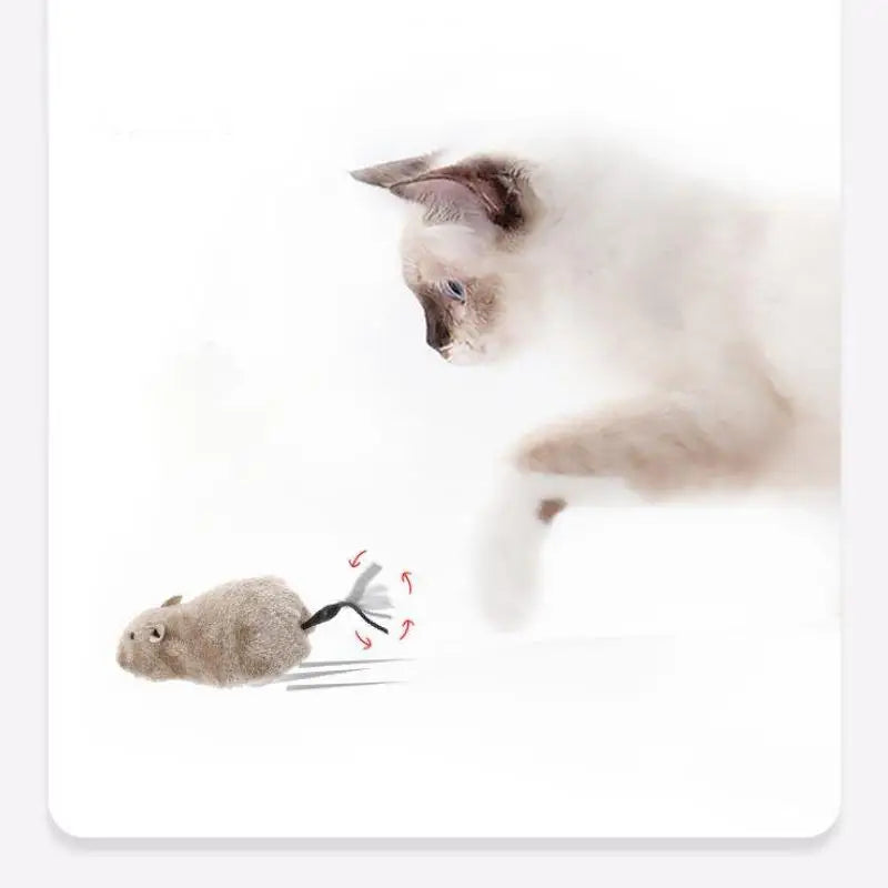 1Pc Funny Lifelike Plush Mouse Running Rat Toy for Cats Dogs Tail Mouse Pets Kids Random Color Qme Default Title