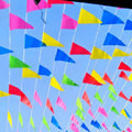 100PCS Colorful Flags Triangular String Flags, Outdoor Opening Festival Celebration, Wedding Thickened Rope Party Qme Default Title