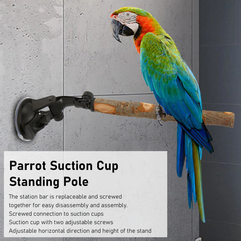 Parrot Suction Cup Window Perch Stand Bird Bath Perch Wooden Wall Mounted Bird Stand Interactive Training Cage Perch for Bird Qme