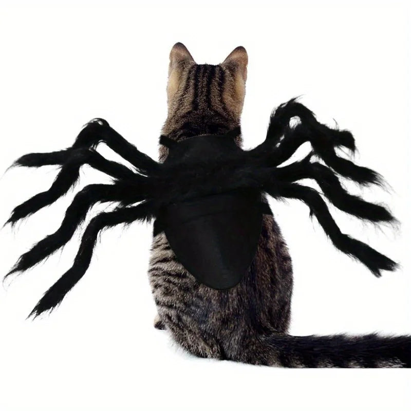 Halloween spider costume, dog and cat costume, role-playing costume, suitable for small dogs and cats, dress up accessories Qme