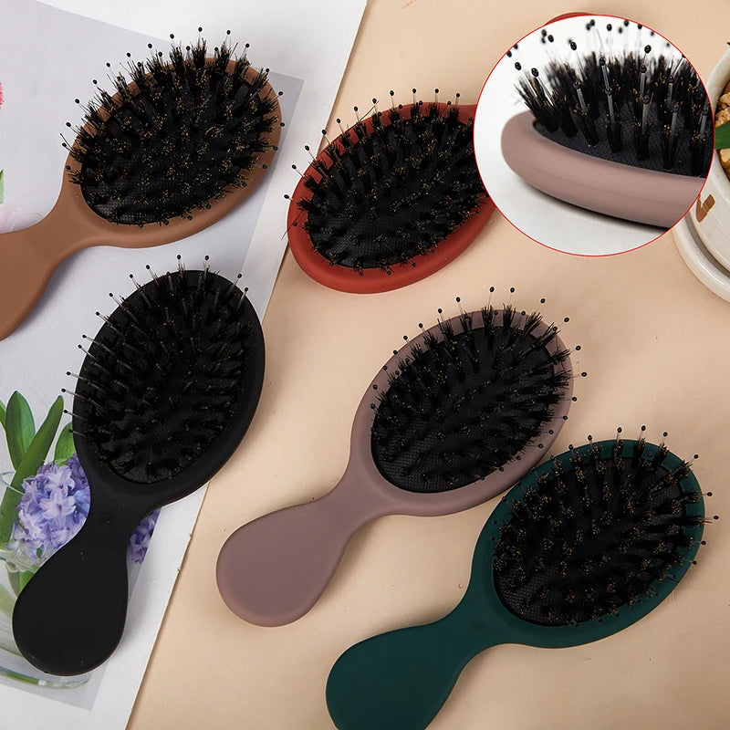 Oval Boar Bristle&nylon Hair Comb Mini Anti-static Scalp Massage Qme