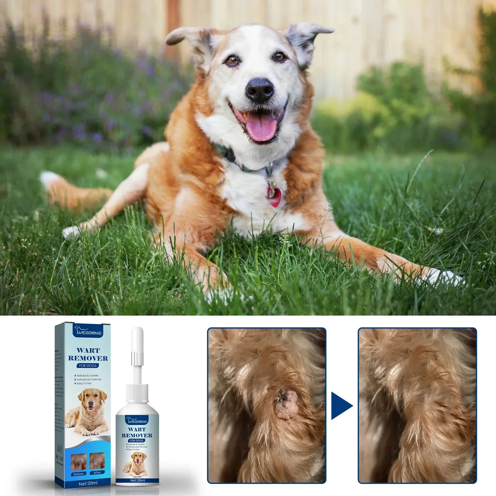 Dog Wart Remover Cat Skin Tags Removal Treat Against Moles Corn Painless Wart Clean Treatment Skin Repair Pet Skin Care Liquid Qme