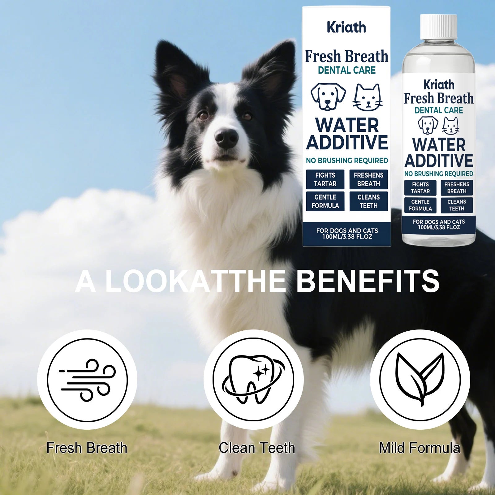 Drinkable Pet Mouthwash Removing Dental Plaque & Tartar Fresh Breath Plant Formula No Brushing Dogs & Cats Dental Care Solution Qme