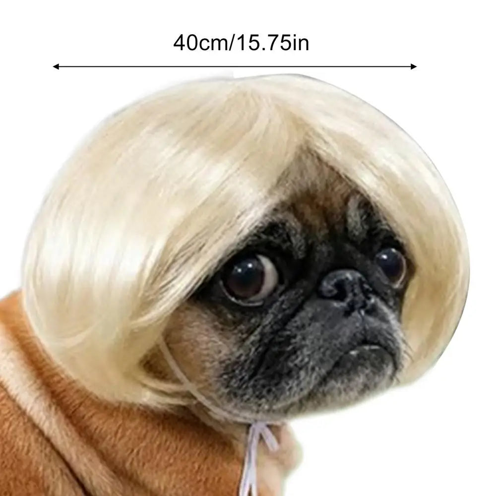 Cat Wig Funny Bangs Adjustable Human-style Pet Costume Halloween Qme WHITE China Mainland