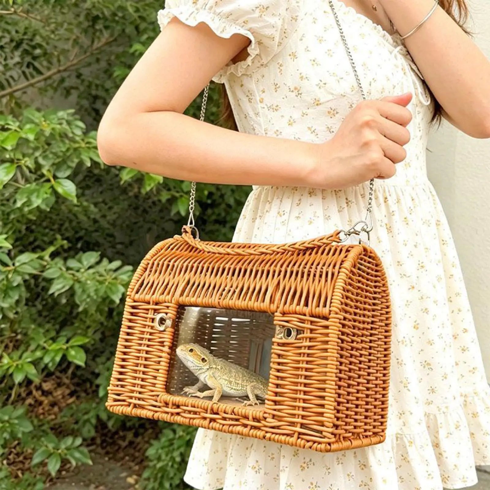 Reptile Carrier With Handle Sleeping House All Season Washable Rattan Bird Carrier Travel Cage For Lizard Leopard Gecko Spider Qme