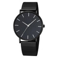 2026 Men's casual wristwatch fashionable Geneva couple men's and women's simple business mesh with quartz watch Qme Black Silver