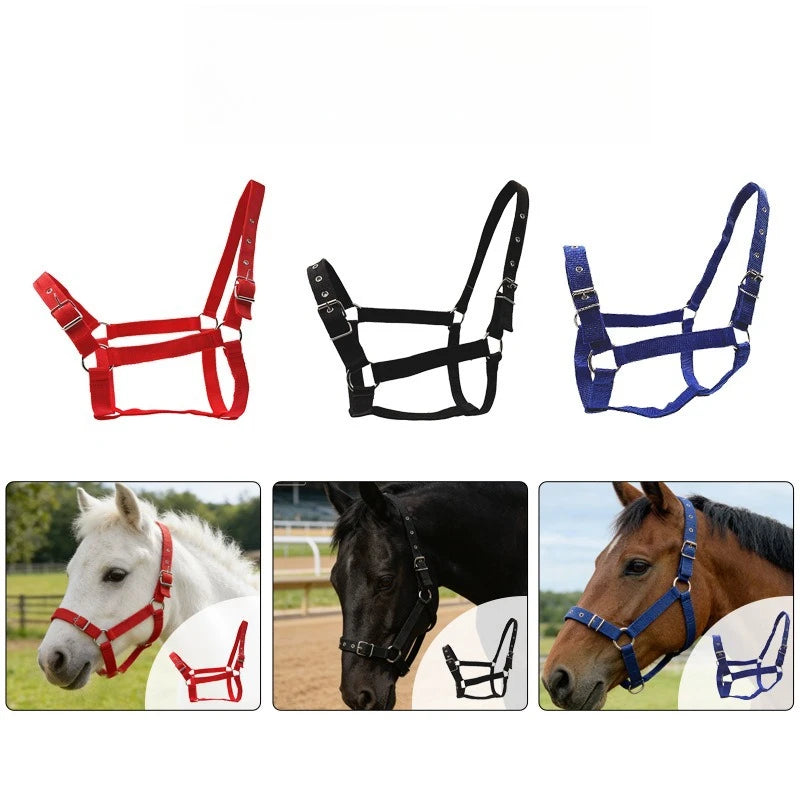 Adjustable Horse Bridle Reins Headstall Universal Fit Ponies Small Qme