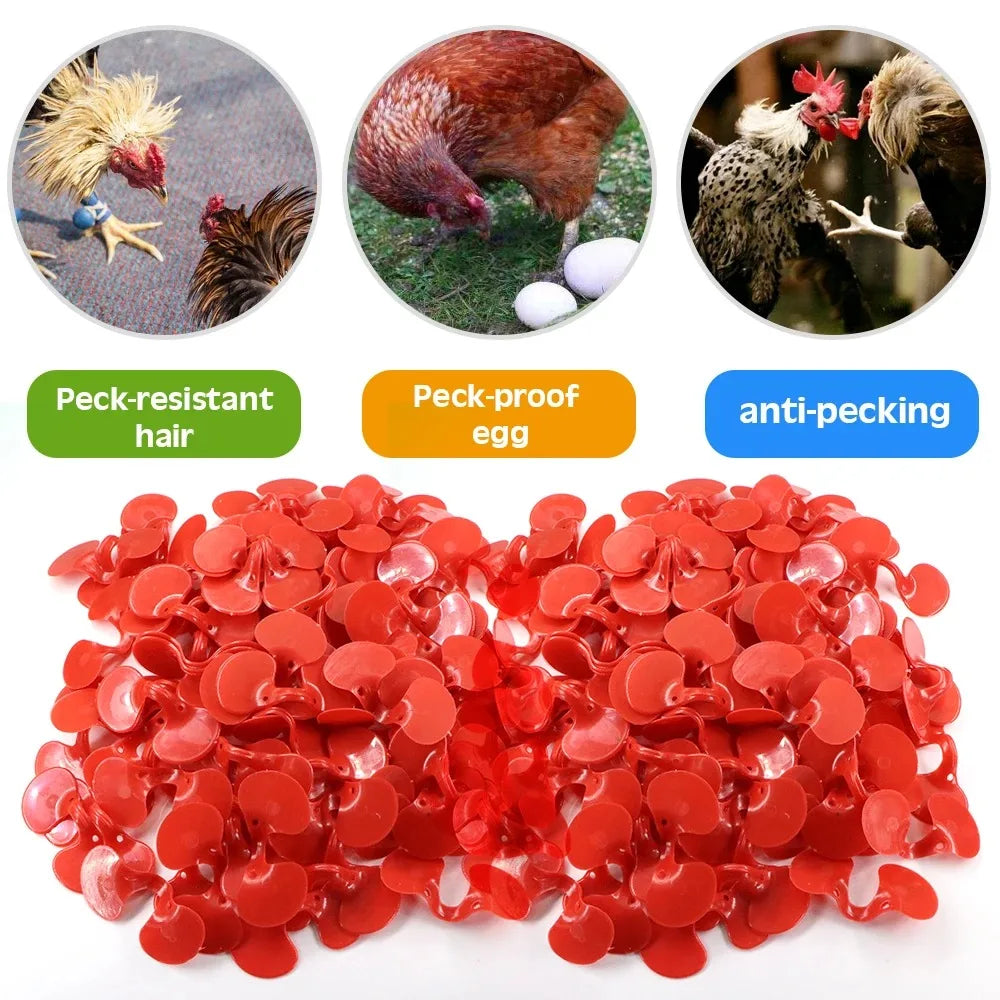 Red Chicken Glasses Plastic Peck-resistant Hair Glasses with Bolt Poultry Safety Protection Goggles Chicken Accessories Qme