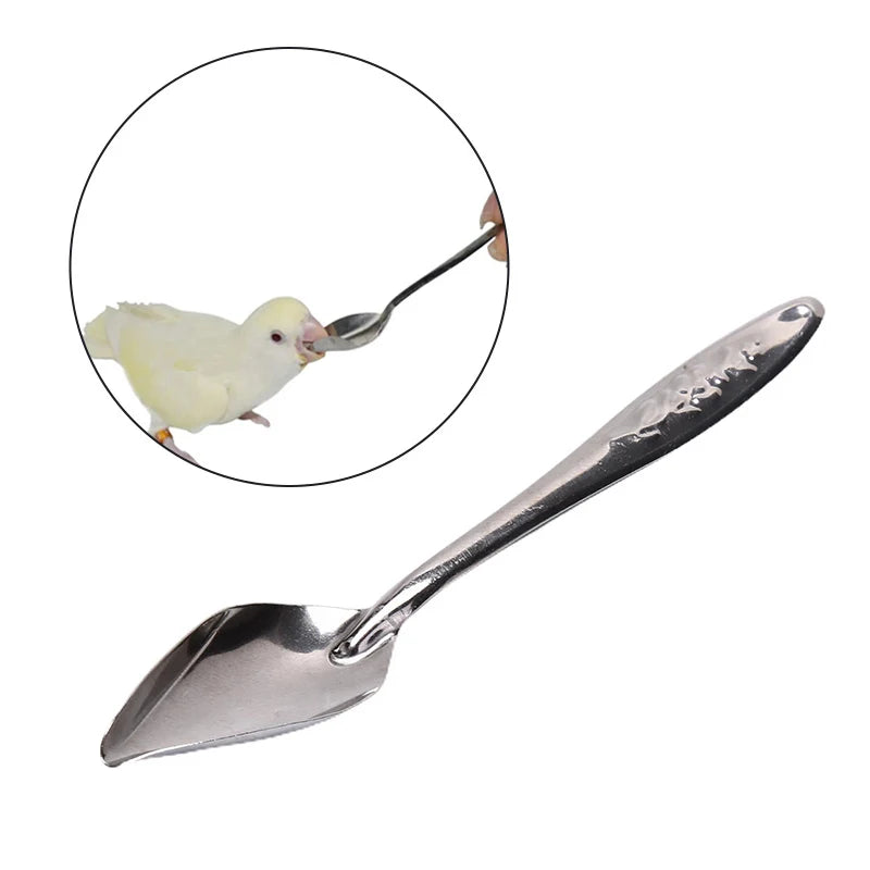 Parrot Feeding Syringe Hose Parrots Bird Feeders Qme