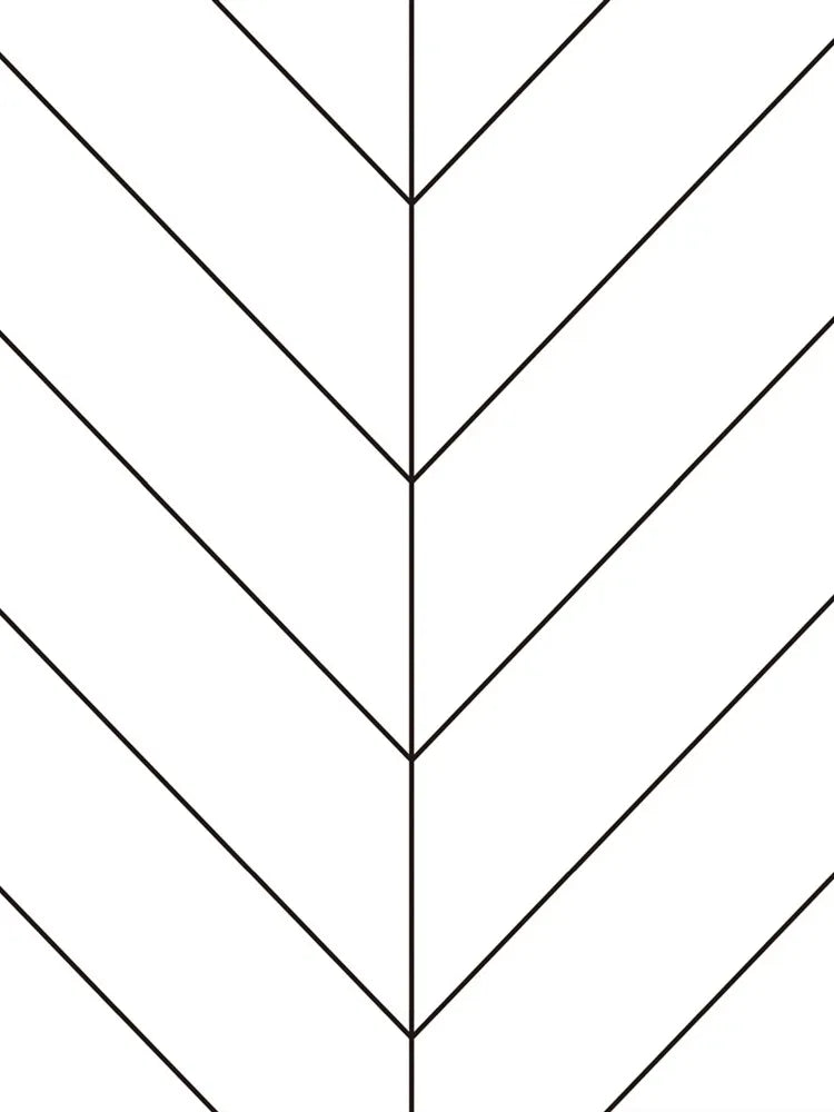 Black White Geometric Abstract Curve Peeling Wall Self-adhesive Qme Red 500CMX45CM