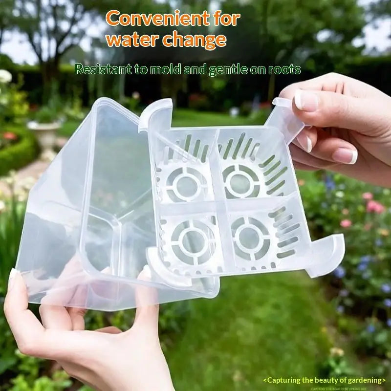 Hydroponic Containers With Breathable Support Basket Tulip Seed Hydroponic Flowerpot 4 Holes Soilless Flower Pot Home Decoration Qme