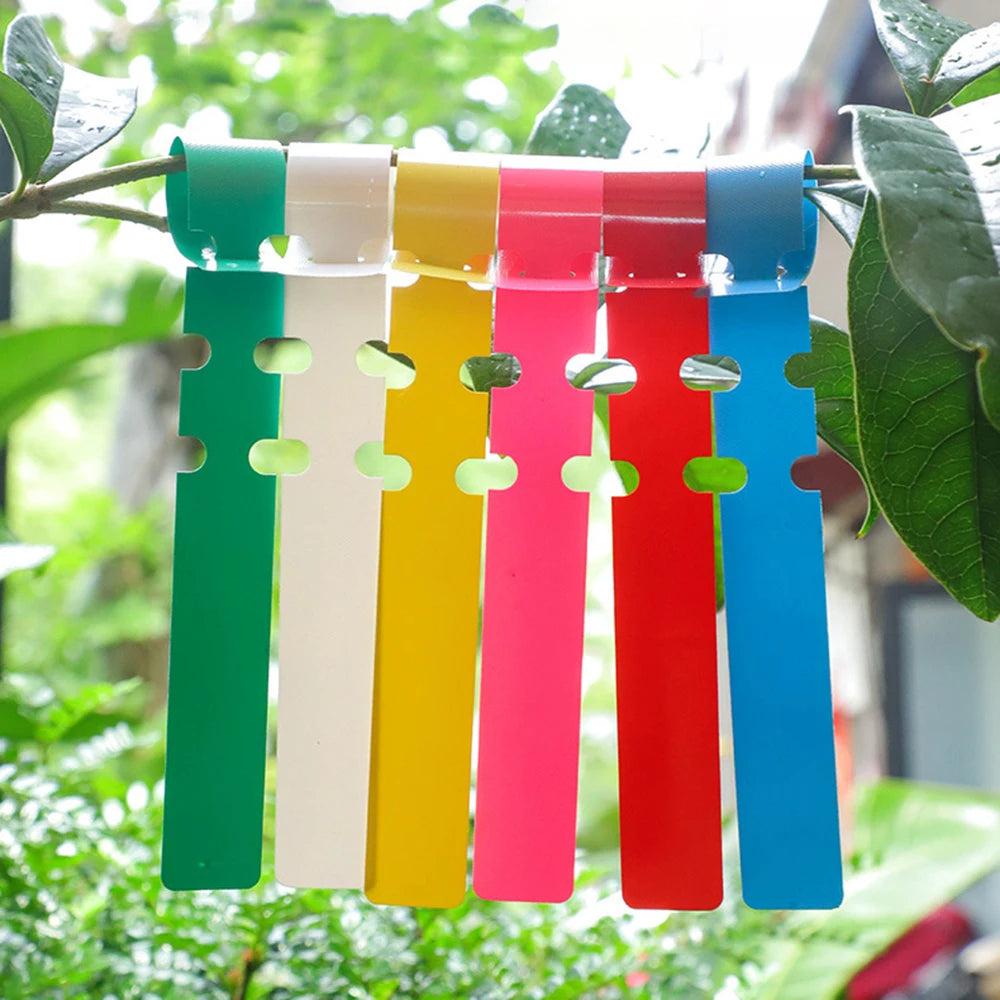Garden100PCS Pvc Waterproof Ring For Flower Plant Labels, Seedlings, Orchids, Garden Floral Markers, Plastic Signboards Qme