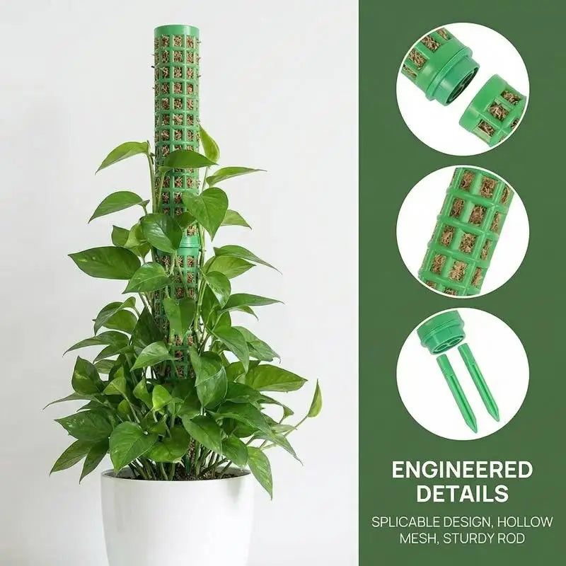 2 4 Monstera Plants Water Moss Poles Plastic Plant Stakes Indoor Qme