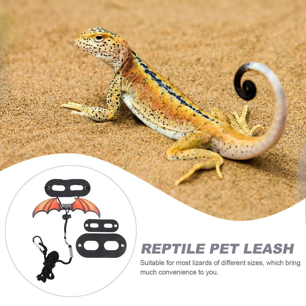 1Set Lizard Leash for Bearded Dragon Crested Gecko Adjustable Reptile Outdoor Leash Wear-Resistant Lightweight Safe Walking Qme