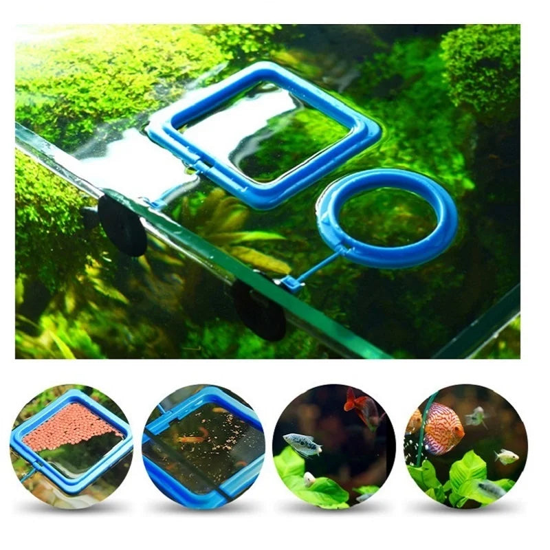 Fish Feeding Ring Feeder Fishing Equipment For Food Flakes Aquarium Mini Accessory Fish Tank Tool Water Koi Tropical Guppy Tetra Qme