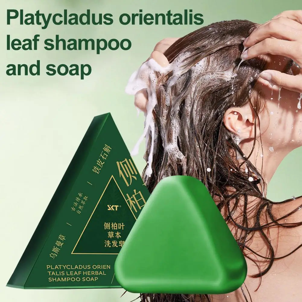 Shampoo Bar Platycladus Orientalis Natural Herbal Soap Hair Loss Qme